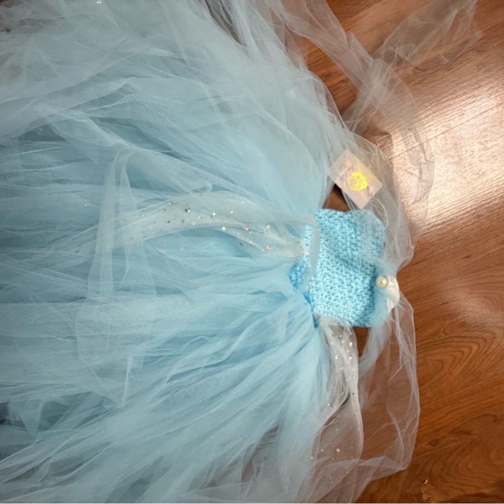 Cinderella costume